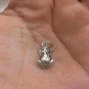 frog pendant 925
